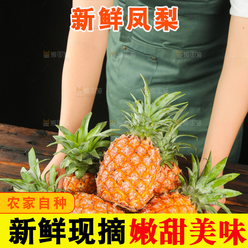深底上的金钻凤梨