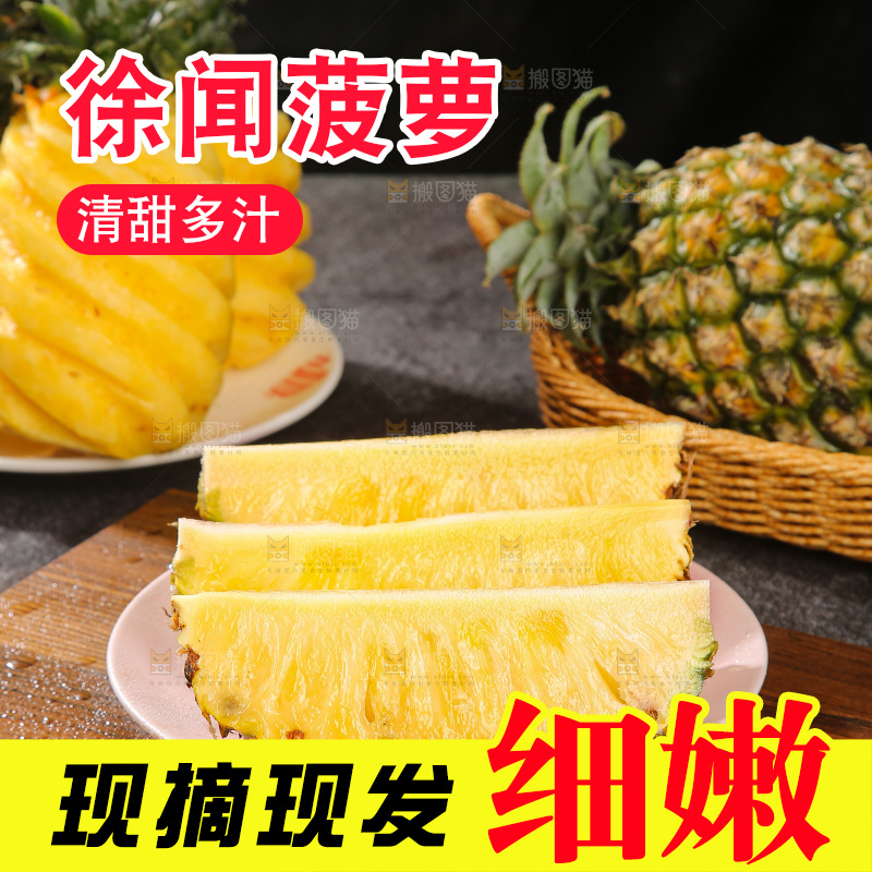 深底上的徐闻菠萝