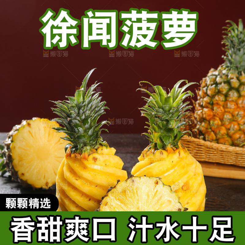深底上的徐闻菠萝