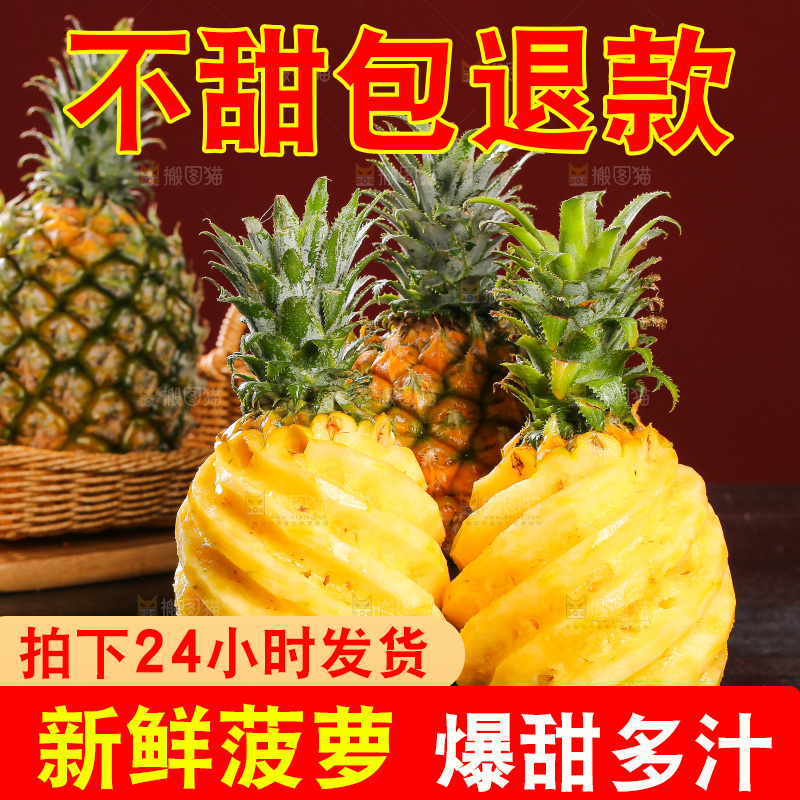 深底上的徐闻菠萝