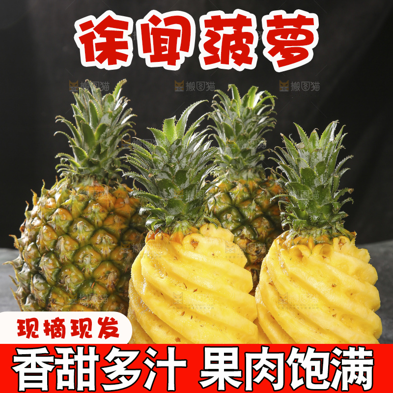 深底上的徐闻菠萝