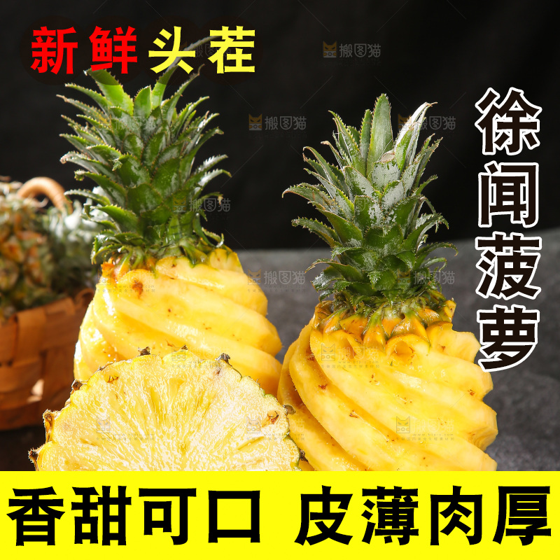 深底上的徐闻菠萝