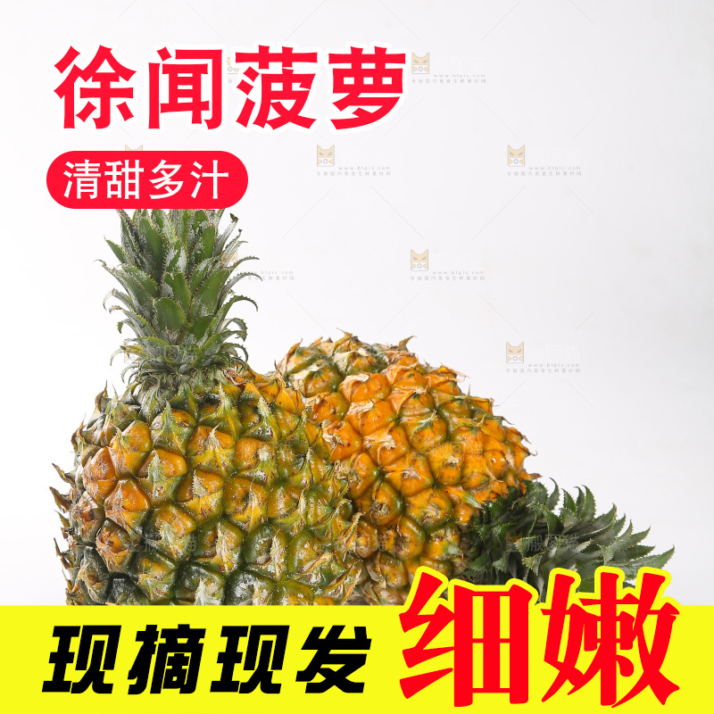 白底上的徐闻菠萝