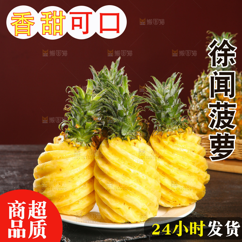 深底上的徐闻菠萝