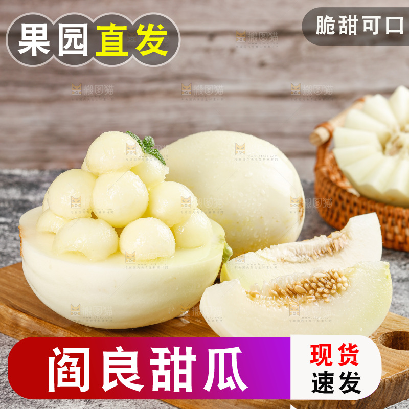 深底上的阎良甜瓜