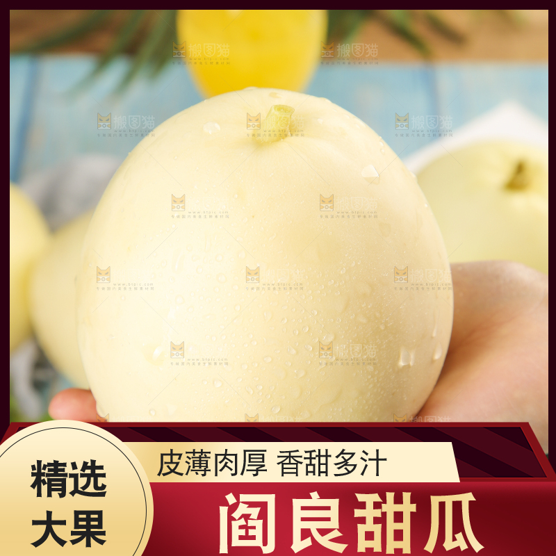 浅底上的阎良甜瓜