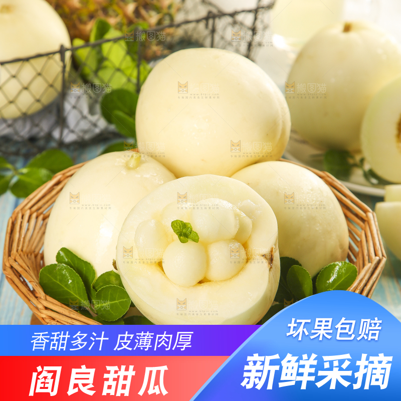 浅底上的阎良甜瓜
