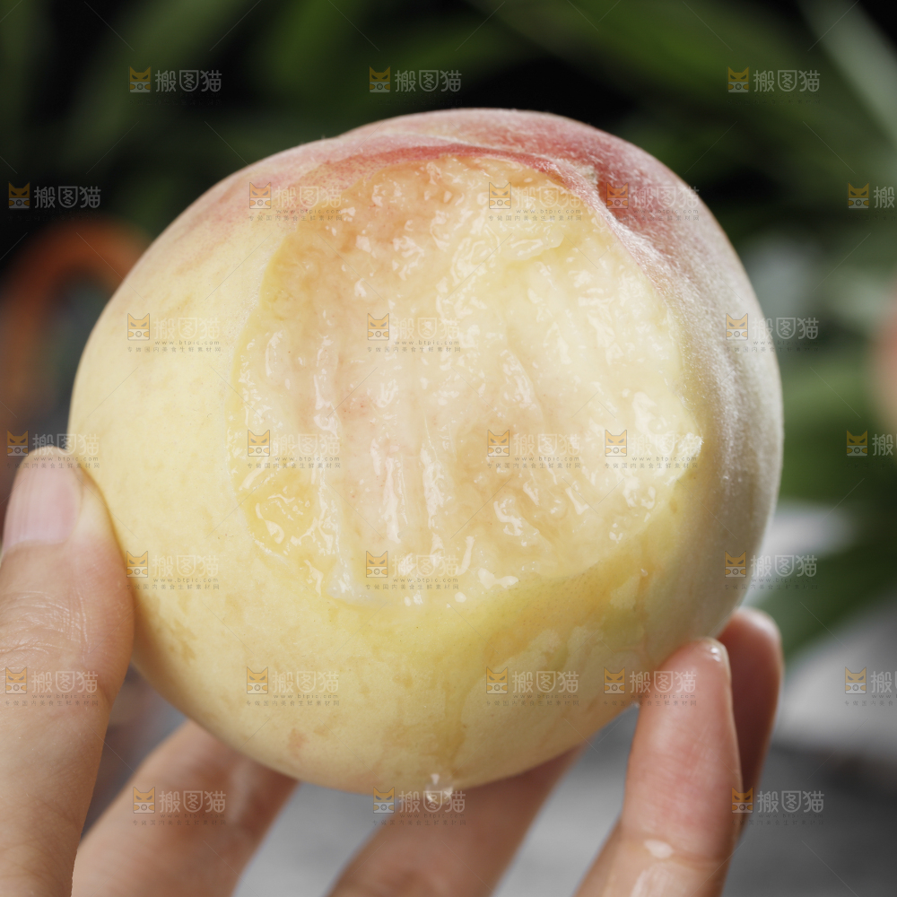 深底上的阳山水蜜桃