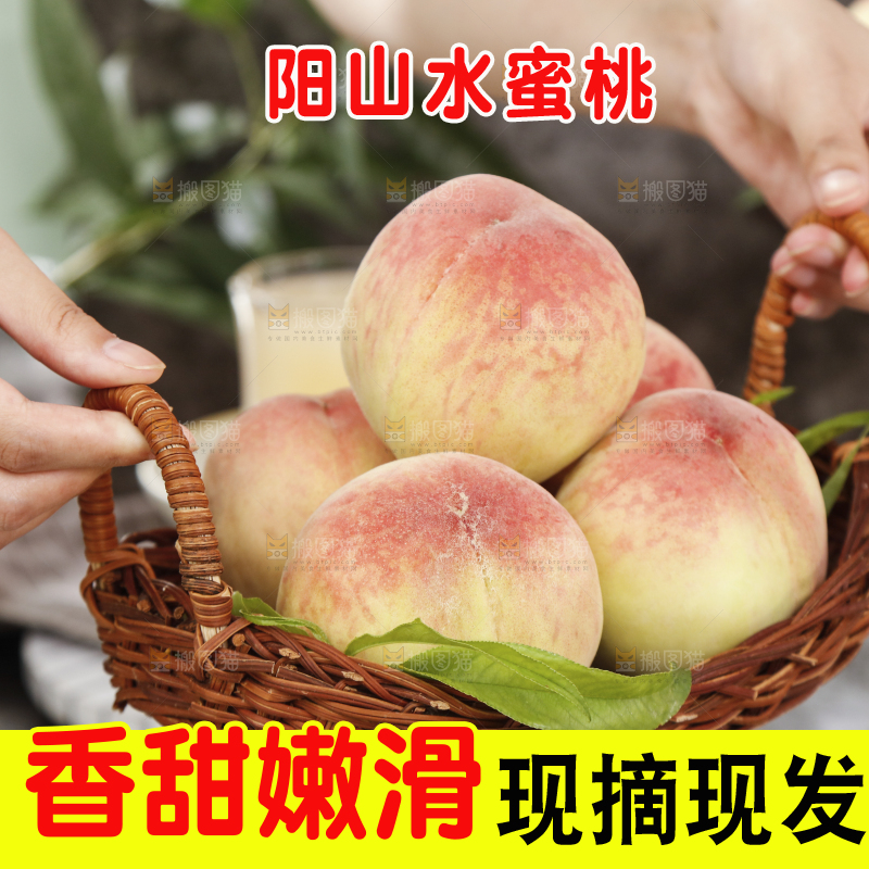 浅底上的阳山水蜜桃