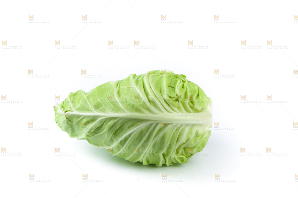 白底上的卷心菜