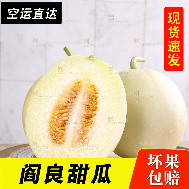 木底上的阎良甜瓜