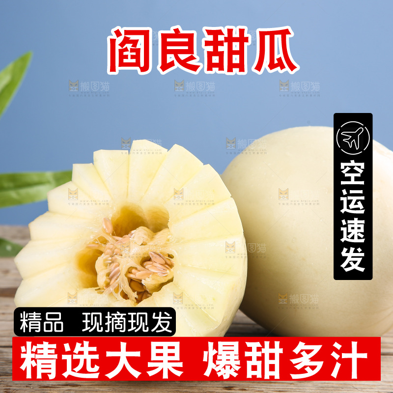 木底上的阎良甜瓜