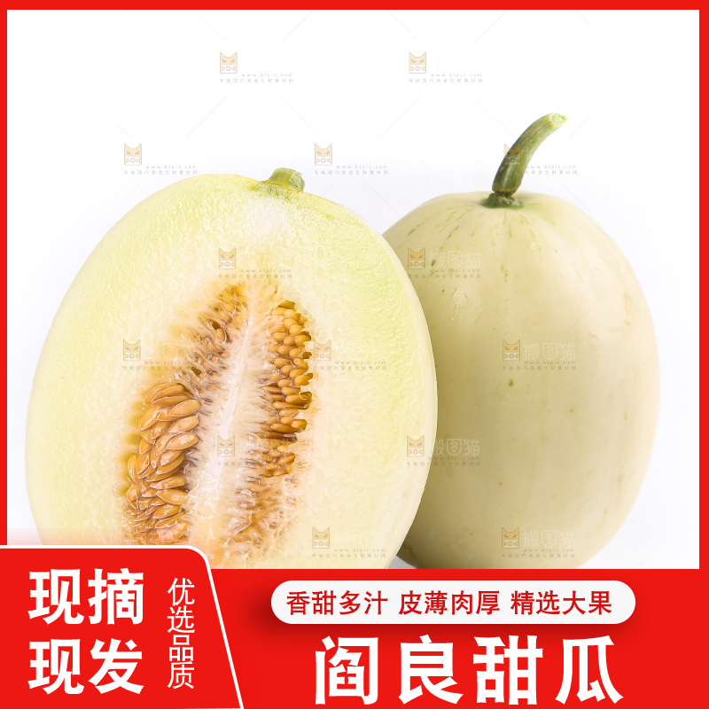 白底上的阎良甜瓜