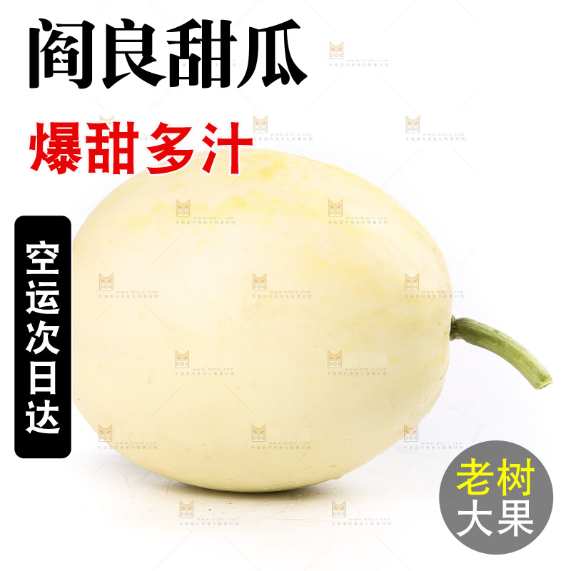 白底上的阎良甜瓜