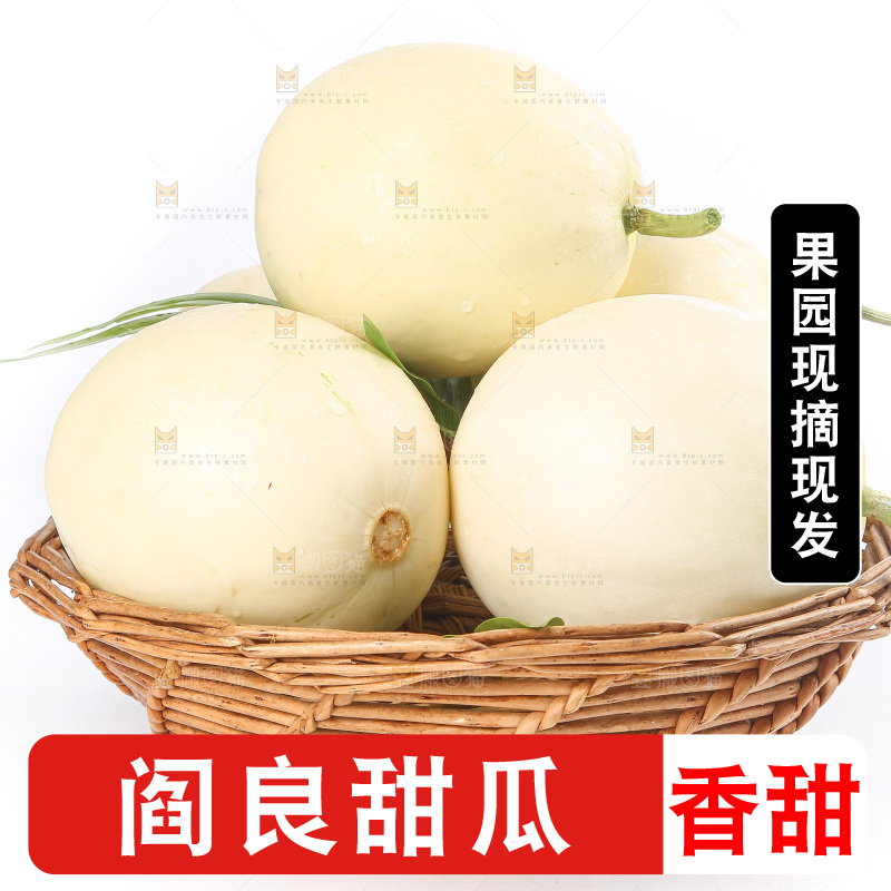 白底上的阎良甜瓜