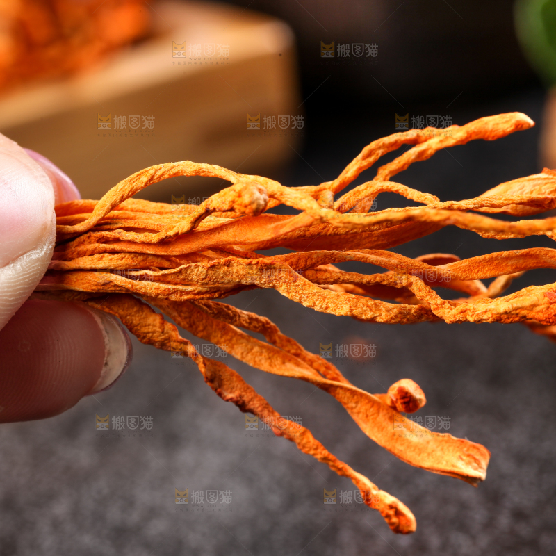 深底上的虫草花