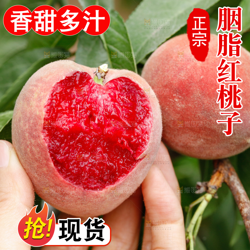 树上的胭脂红桃子