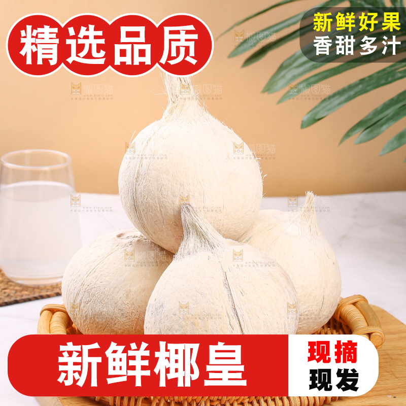 浅底上的牛奶椰皇