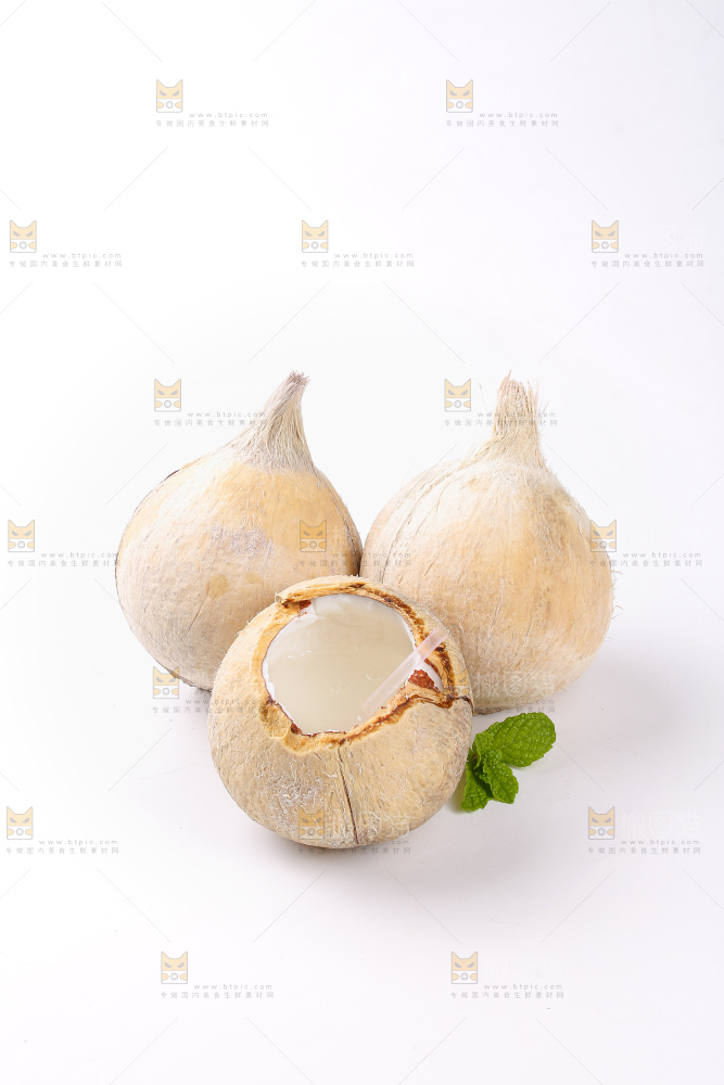 白底上的牛奶椰皇