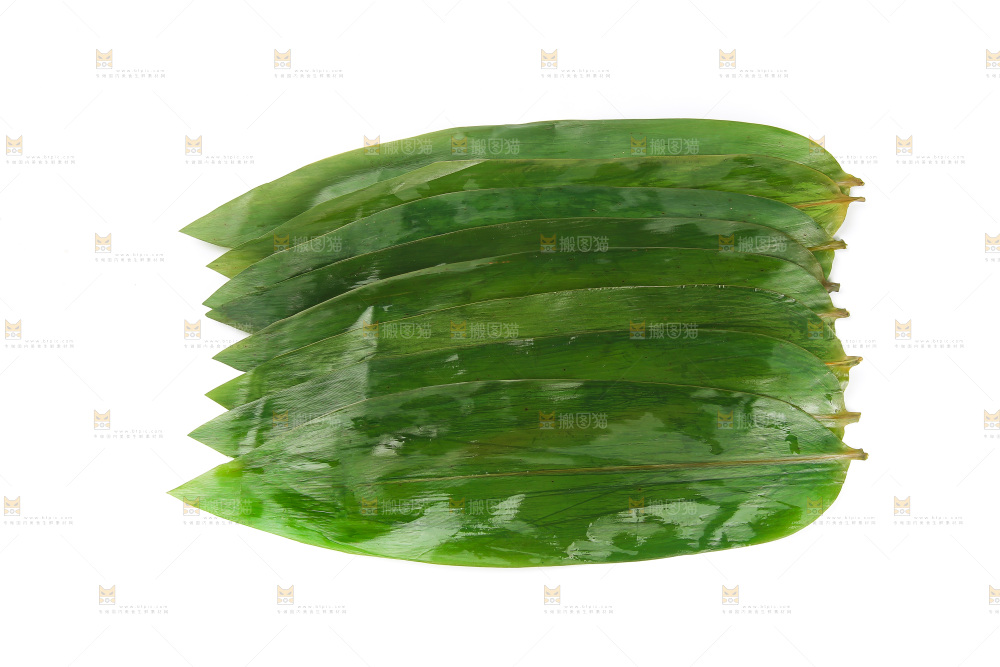白底上的粽叶