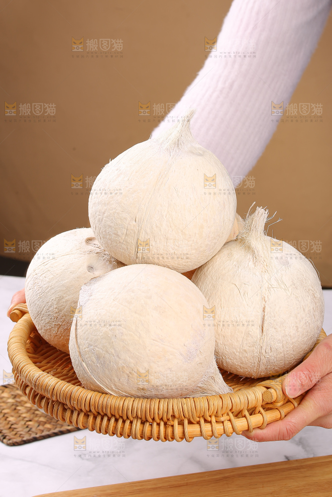 浅底上的牛奶椰皇