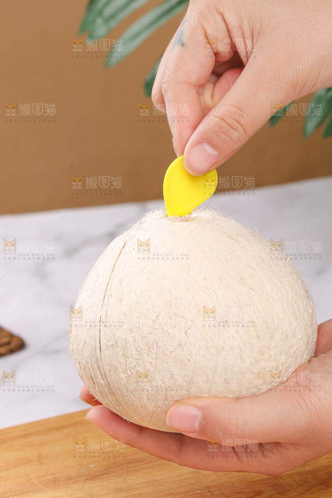 浅底上的牛奶椰皇