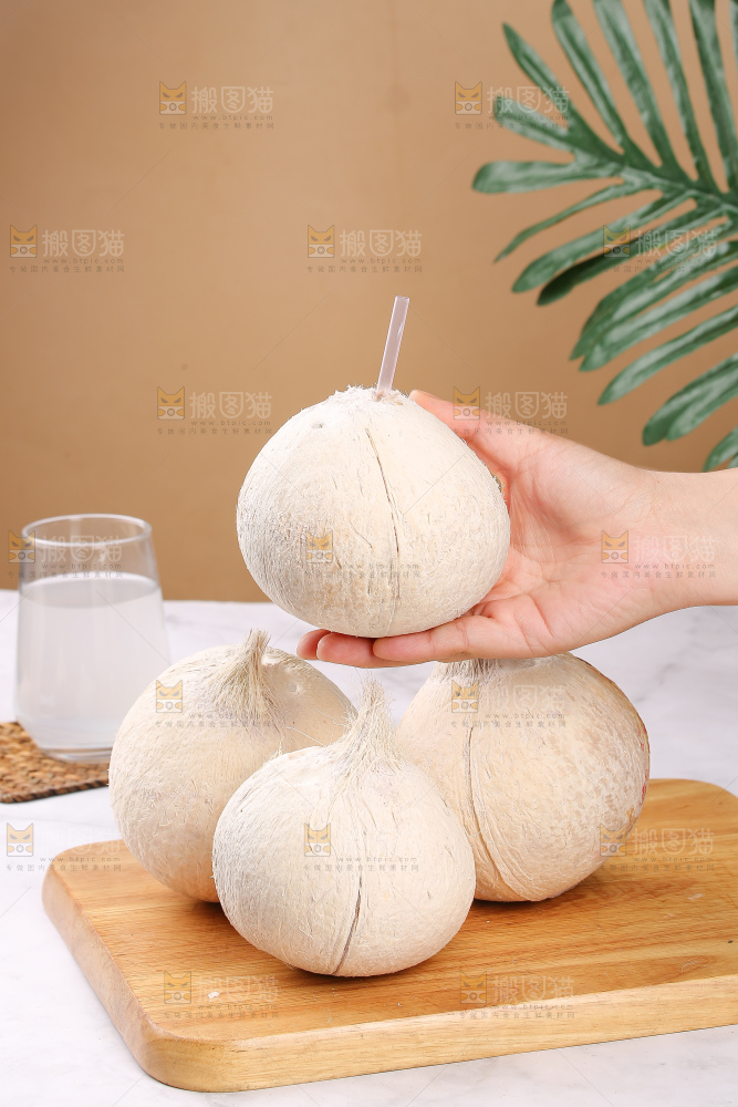 浅底上的牛奶椰皇