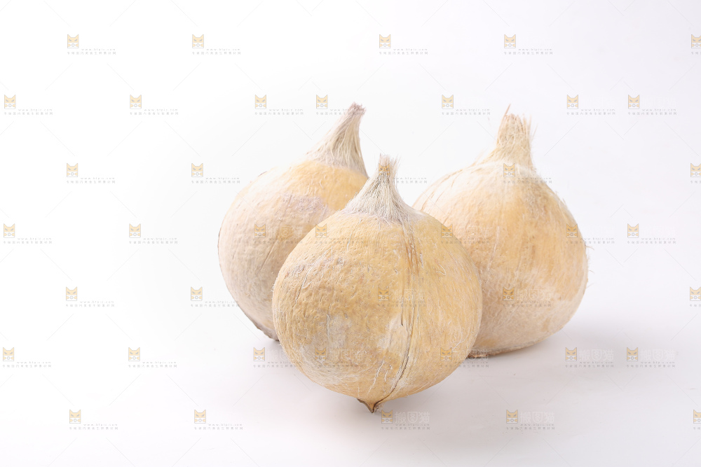 白底上的牛奶椰皇