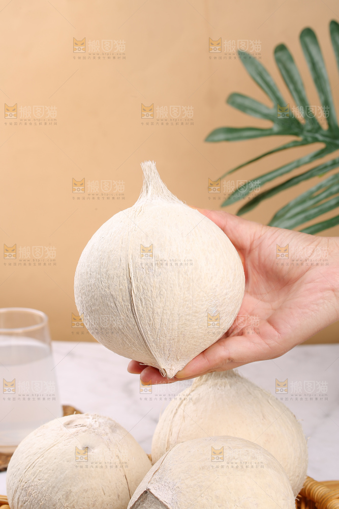 浅底上的牛奶椰皇
