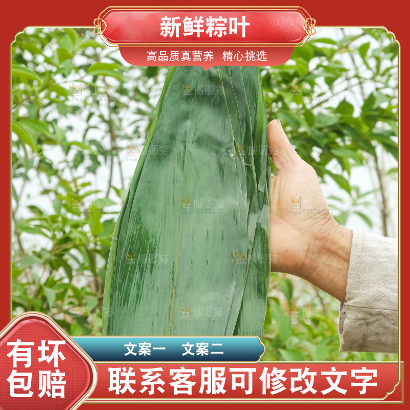 手里拿着新鲜粽叶