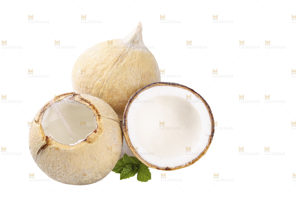 白底上的牛奶椰皇
