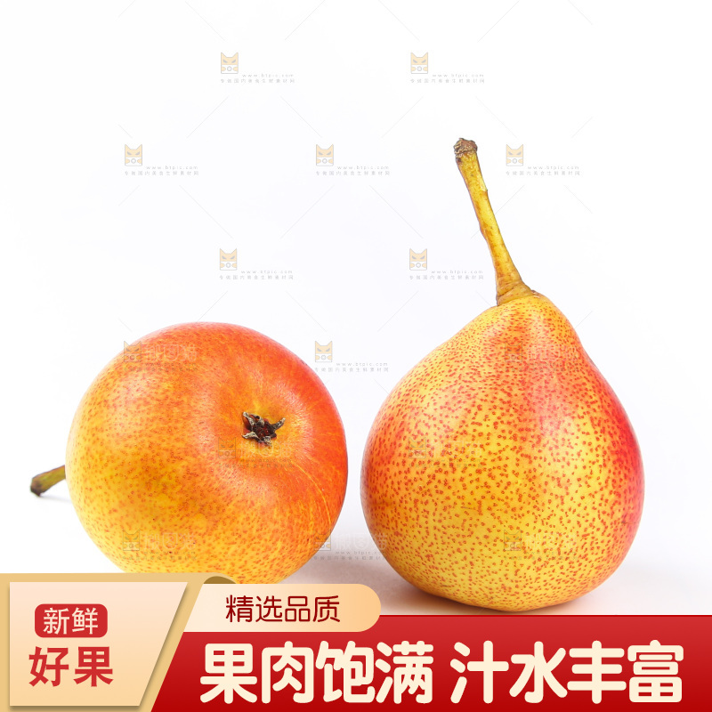 白底上的彩啤梨