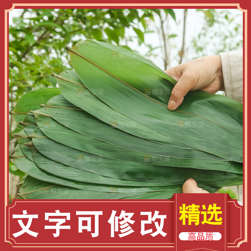 手里拿着新鲜粽叶