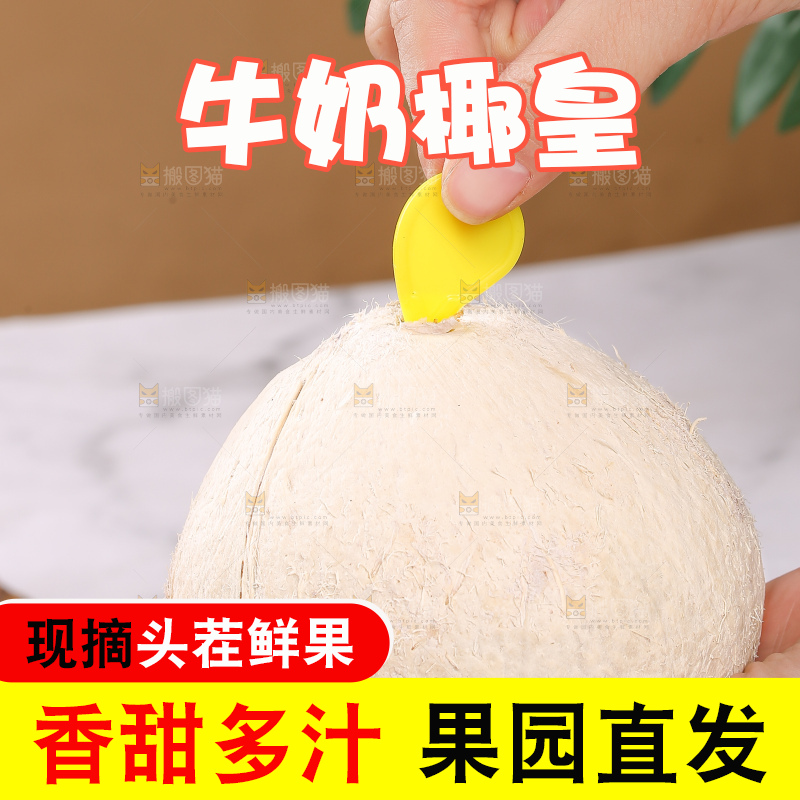 浅底上的牛奶椰皇