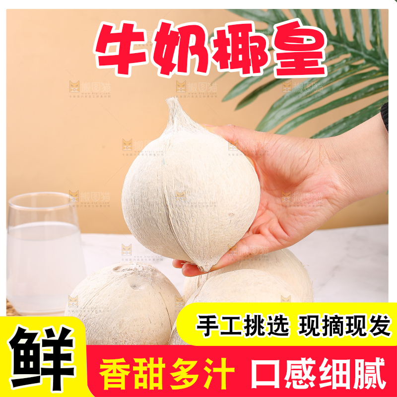 浅底上的牛奶椰皇