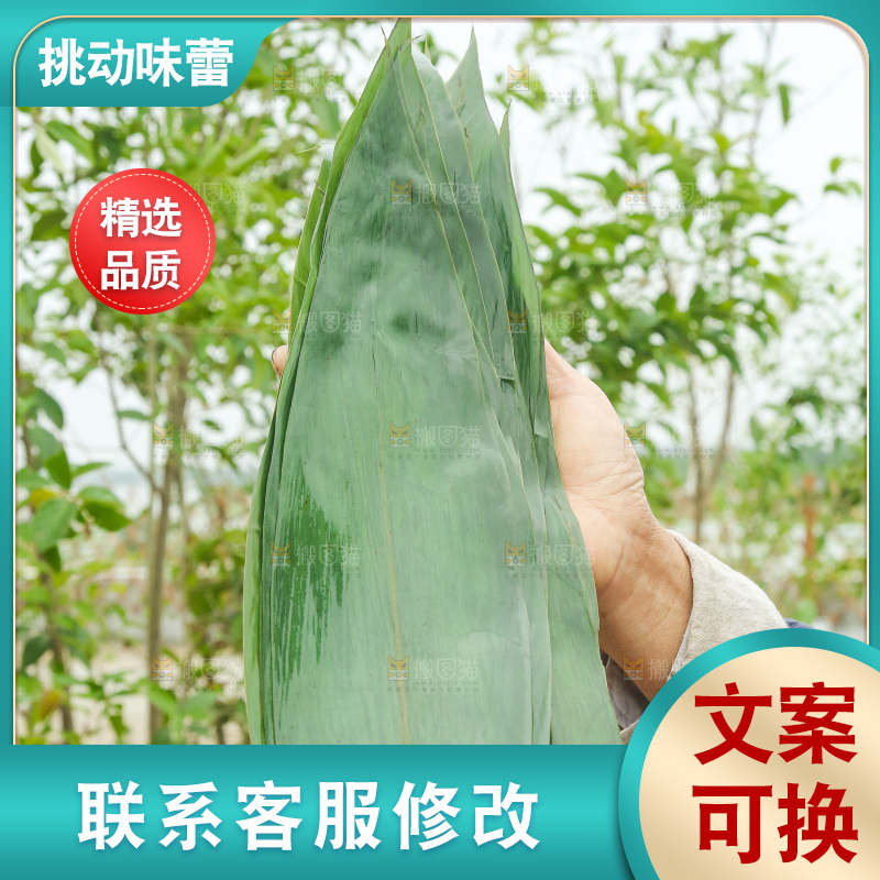 手里拿着新鲜粽叶