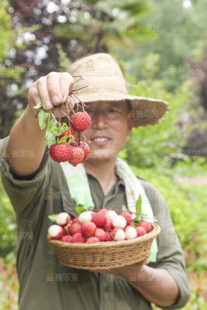 手里拿着桂味荔枝