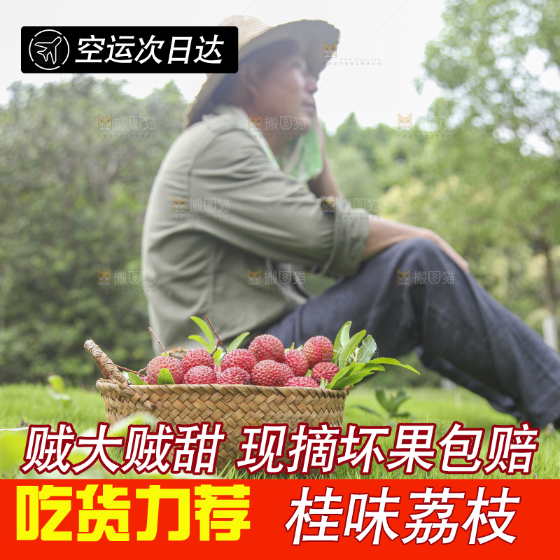 草地上放着桂味荔枝