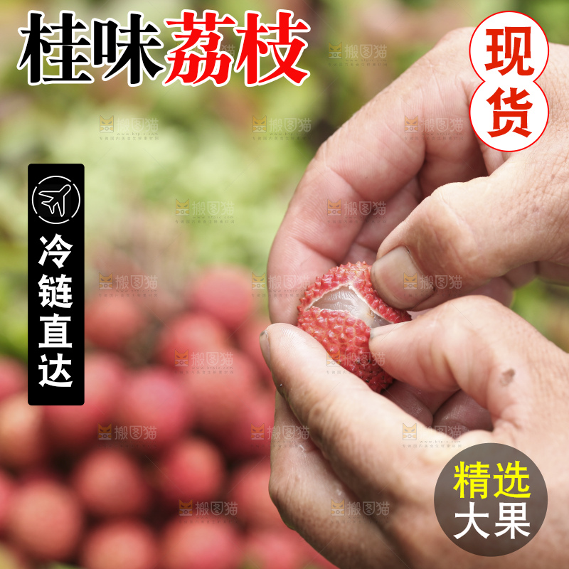 手里拿着桂味荔枝