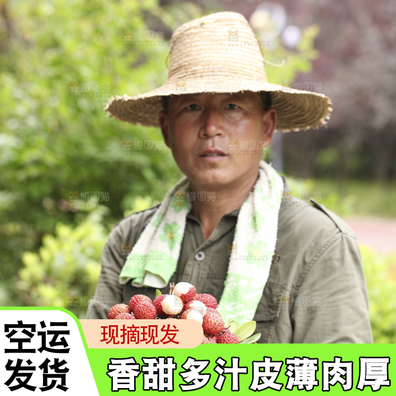 手里拿着桂味荔枝