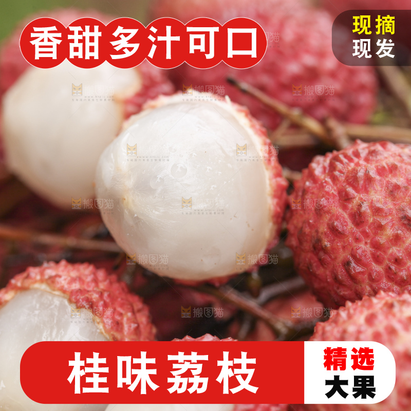 手里拿着桂味荔枝