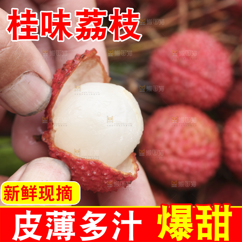 手里拿着桂味荔枝