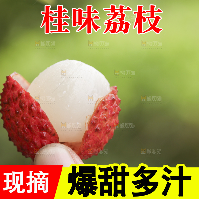 手里拿着桂味荔枝