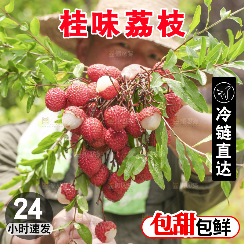 手里拿着桂味荔枝