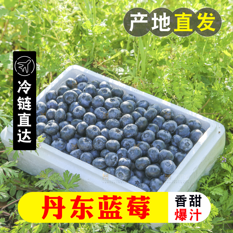 手里拿着蓝莓鲜果