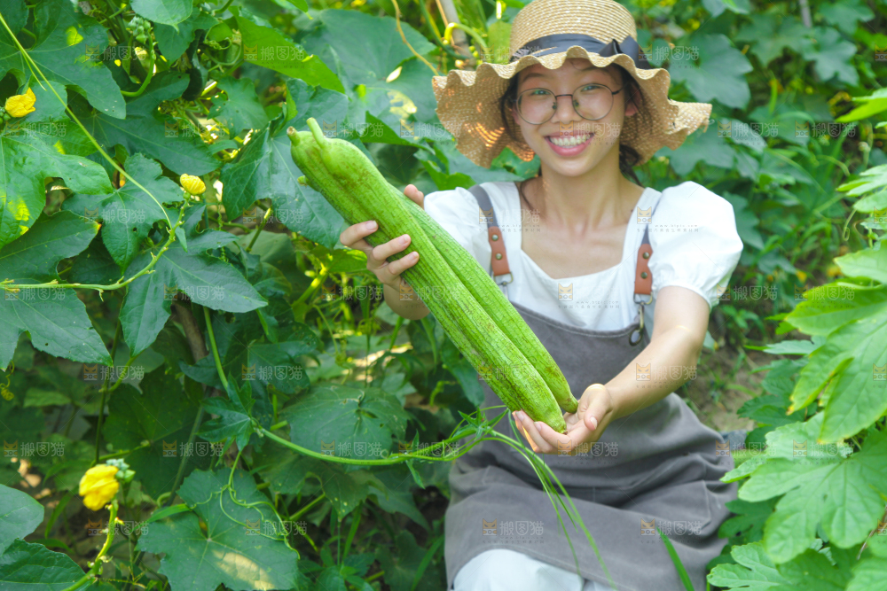 手里拿着长丝瓜