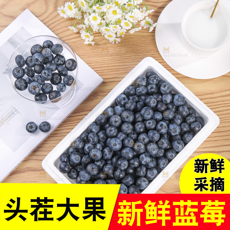 浅底上的怡颗莓