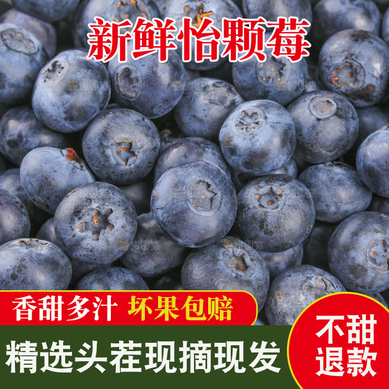 浅底上的怡颗莓