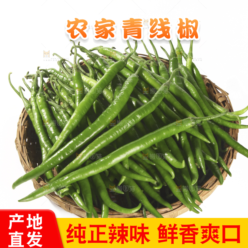 白底上的新鲜线椒