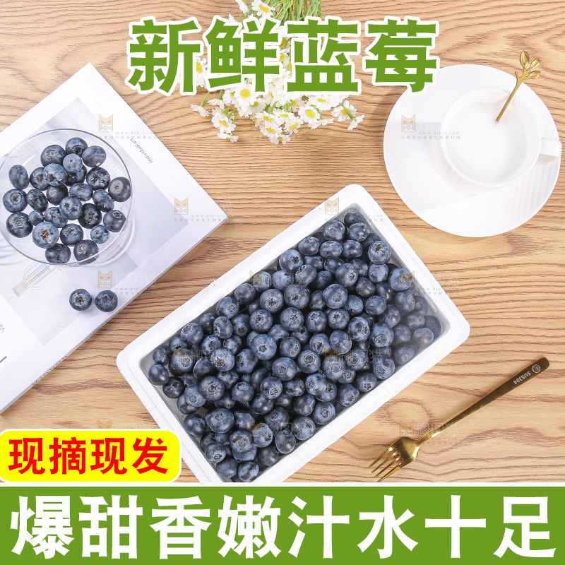 浅底上的怡颗莓